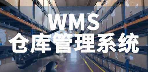 wms系统开发网站建设有哪些功能